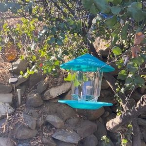 Wild Bird Feeder Hanging for Garden Yard